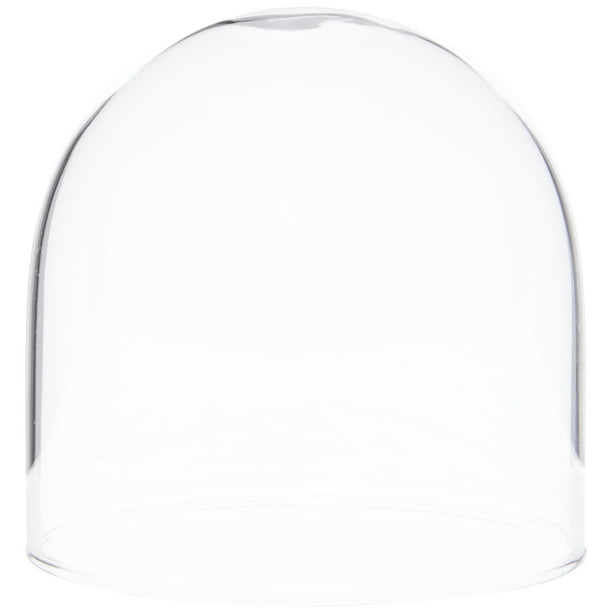 Oak Veneer Base Plymor 5.5 x 13 Glass Display Dome Cloche 